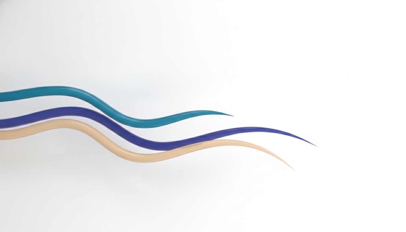 Flowing ribbons illustrating fixed and floating exchange rates